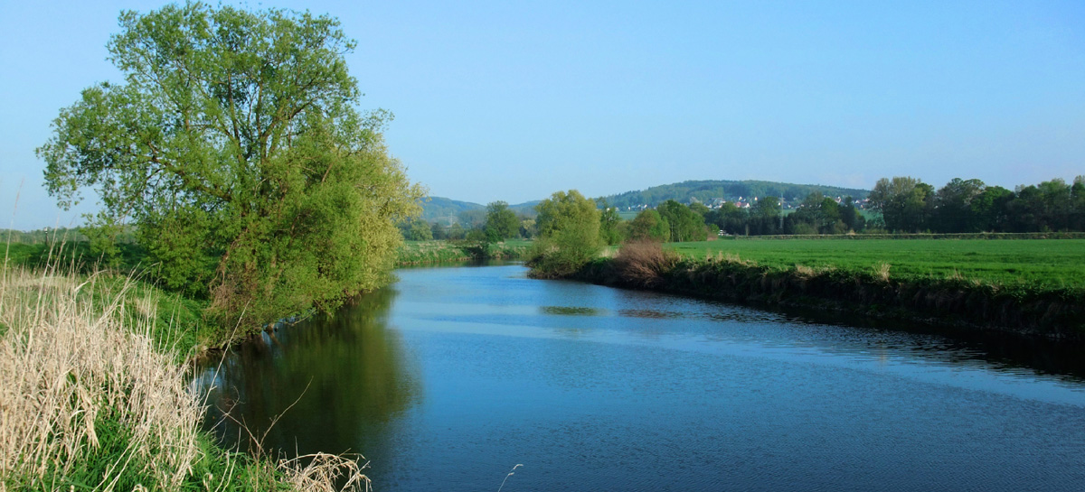 Fluss und Ufer mit vereinzelten Bäumen