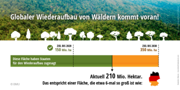 Globaler Wiederaufbau von Wäldern kommt voran! Die Infografik zeigt einen Balken, der die Fläche des Wiederaufbau wiedergibt. Vereinbart waren bis 2020 150 Millionen Hektar Wald. Dieses Ziel wurde 2020 übertroffen. Aktuell wurden 210 Millionen Hektar Wald weltweit wieder aufgebaut. Das entspricht einer Fläche, die sechsmal so groß ist wie Deutschland. Bis zum Jahr 2030 sollen es 350 Millionen Hektar Wald werden.. Weitere Informationen siehe Bildunterschrift