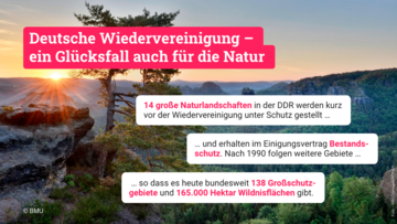 Deutsche Wiedervereinigung – ein Glücksfall auch für die Natur: - 14 große Naturlandschaften in der DDR werden kurz vor der Wiedervereinigung unter Schutz gestellt… - …und erhalten im Einigungsvertrag Bestandsschutz. Nach 1990 folgen weitere Gebiete… - …so dass es heute bundesweit 138 Großschutzgebiete und 165.000 Hektar Wildnisflächen gibt.. Weitere Informationen siehe Bildunterschrift