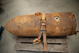 Altmunition