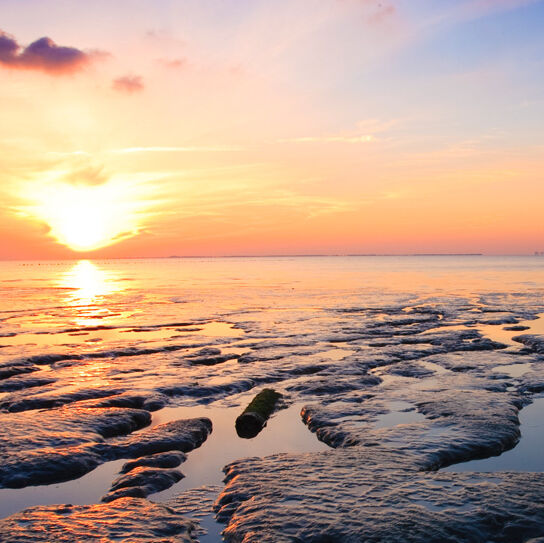 Das Wattenmeer in Niedersachsen im Sonnenuntergang. 