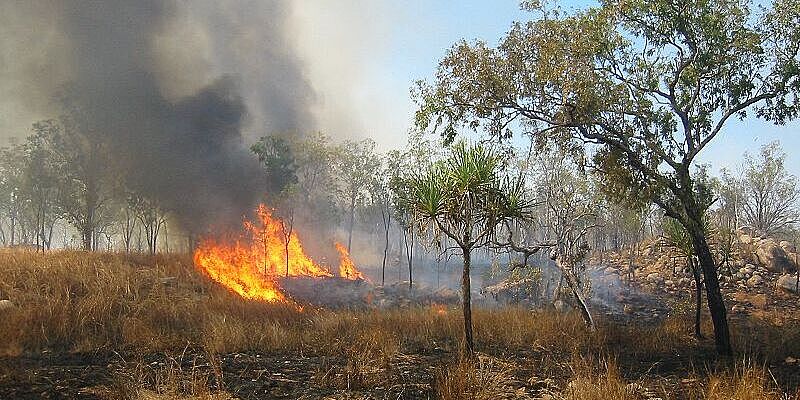 Ein Buschfeuer in Australien