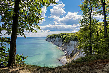 Kreidefelsen auf der Insel Rügen