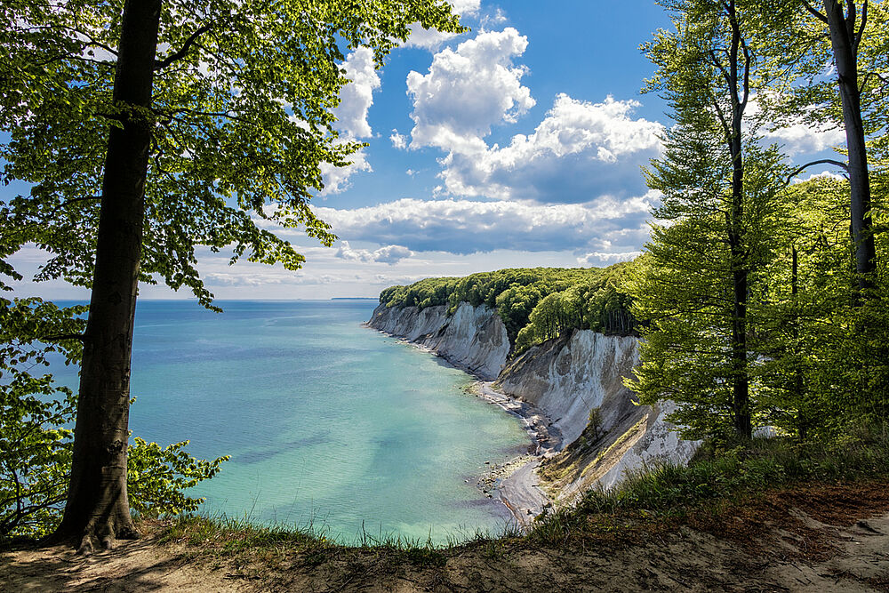 Kreidefelsen auf der Insel Rügen