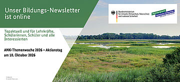 Bildungsnewsletter zum Thema "ANK-Themenwoche 2026 – Aktionstag am 10. Oktober 2026". Auf dem Bild ist Moorwiese zu sehen.