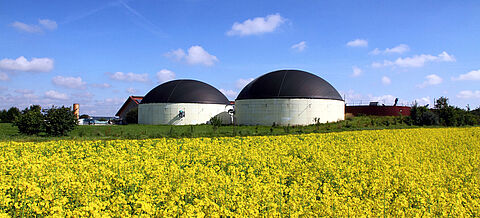Biogasanlage und Rapsfeld