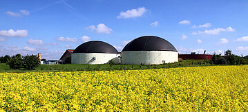 Biogasanlage und Rapsfeld