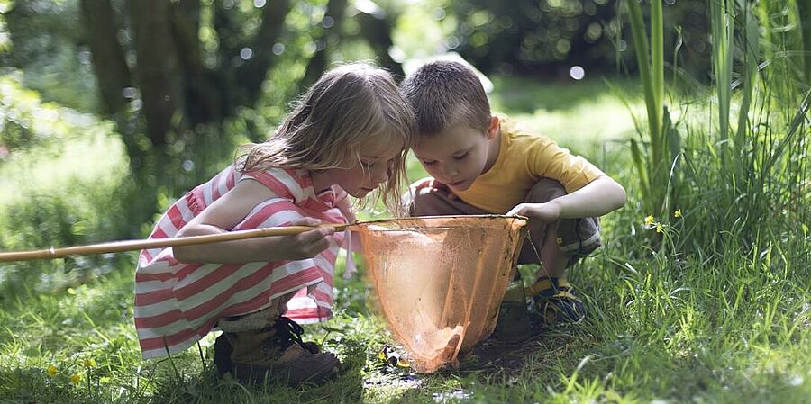 Kinder untersuchen das Leben am Teich