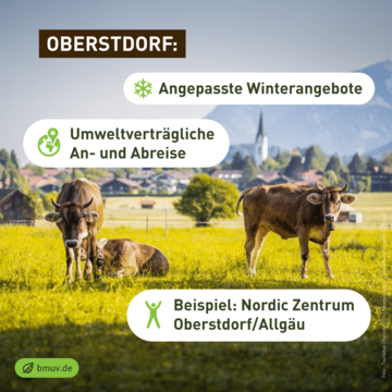 Landschaft mit Kühen. Weitere Informationen siehe Bildunterschrift