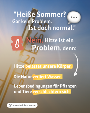 Infografik. Weitere Informationen siehe Bildunterschrift