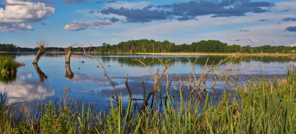 Panorama des Stuerschen Sees