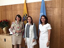 Rita Schwarzelühr-Sutter beim HLPF-Treffen in New York