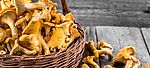 Gelbe Pilze in einem Korb