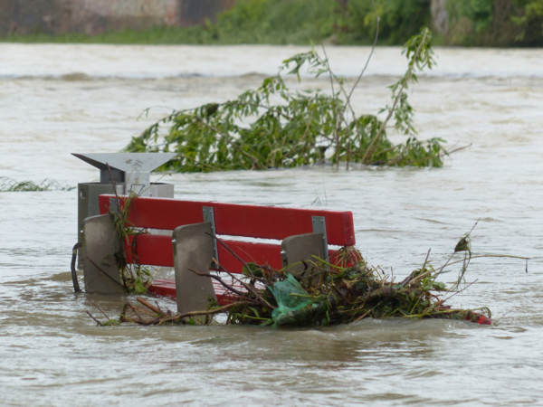 Aufnahme einer überfluteten Bank, an der sich Pflanzen und Baumreste sammeln. 