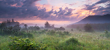 Morgennebel in einem Moor mit dramatischem Himmel, Bayern, Deutschland