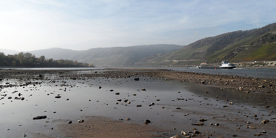 Blick auf das Rheinufer und den Rhein bei extrem niedrigem Wasserstand