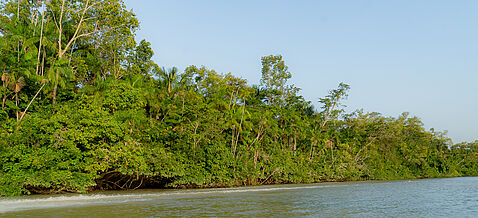 Eine Insel in Brasilien