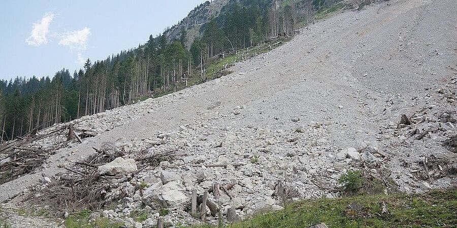 Gerölllawine im Hochgebirge