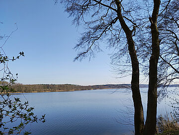 Blick auf das Rambower Moor