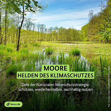 Moore: Helden des Klimaschutzes - Ziele der Nationalen Moorschutzstrategie: Schützen, wiederherstellen, nachhaltig nutzen