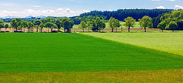 Landwirtschaftliche Fläche