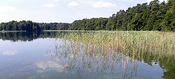 Großer Wummsee