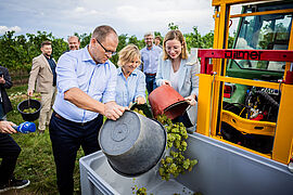 Bundesumweltminister Schneider hilft bei der Ernte.