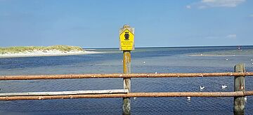 Naturschutz Schild Boddenlandschaft