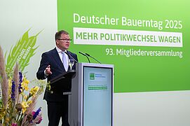Carsten Schneider am Rednerpult