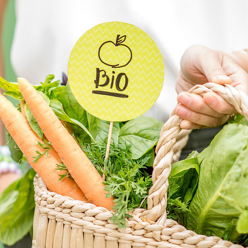 Ein Mensch hält einen Korb mit Gemüse, auf dem Bio steht.