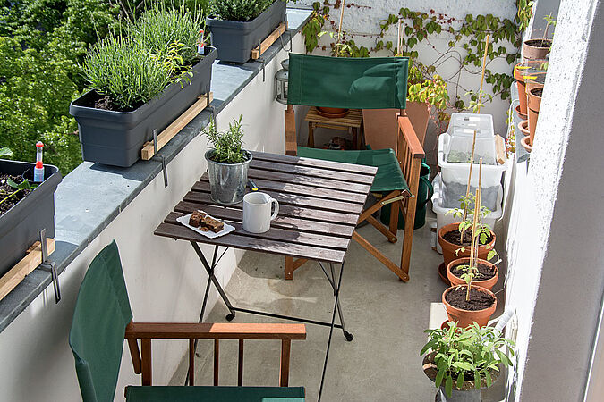 BAlkon mit vielen Pflanzen