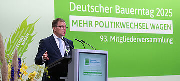 Carsten Schneider am Rednerpult.