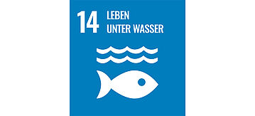Icon für Ziel 14: Leben unter Wasser