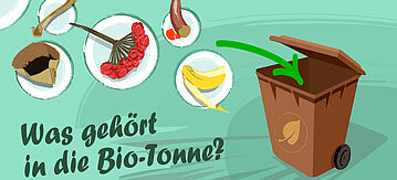 Illustration: Was gehört in die Biotonne?