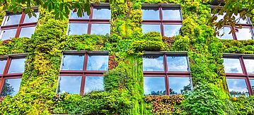 Begrünte Hausfront
