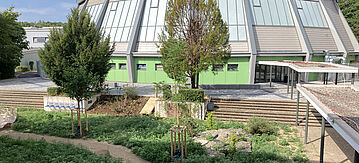 Grünfläche vor Schulgebäude