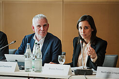 Franco-German Climate Working Group