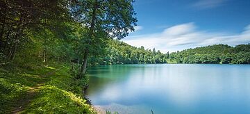 Von Wald umgebener See