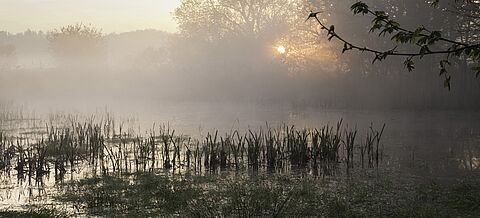 Hochmoor im Nebel mit einem Sonnenaufgang im Hintergrund