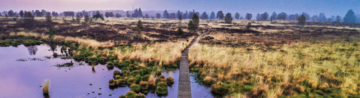 Moorlandschaft im Sonnenuntergang