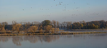 Sonnenaufgang im Drömling-Naturpark 