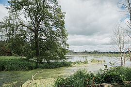 Landschaft Möllmer Seewiesen