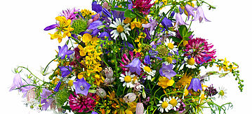 Wildblumenstrauß