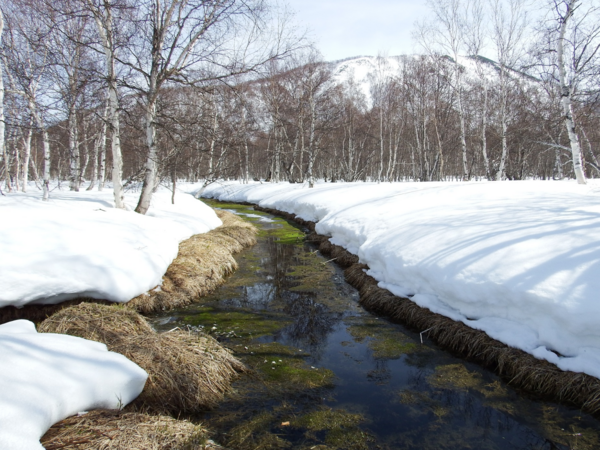 Aufnahme eines Flusslaufs mit Schneebergen an der Seite und blauem Himmel. 