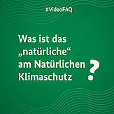 Ein grünes Bild auf dem die Frage "Was ist das "natürliche" am Natürlichen Klimaschutz?" steht.