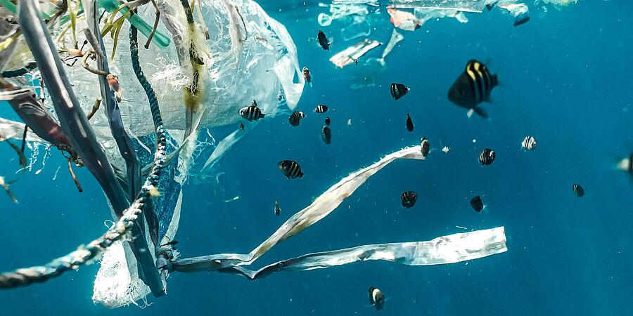 Unterwasser-Foto zeigt im Meer treibende Abfälle und Fische