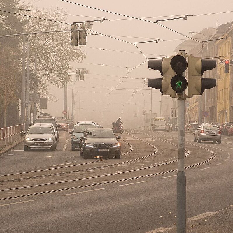 Autos im Smog