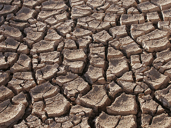 Nahaufnahme eines trockenen Bodens, der grobe Risse aufweist. 