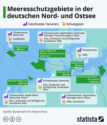 Die Grafik stellt die Lage und Größe von Meeresschutzgebieten in der deutschen Nord- und Ostsee dar. In der Nordsee sind unter anderem die Doggerbank (1.692 km²) und Borkum-Riffgrund (625 km²) eingezeichnet. In der Ostsee werden das Sylter Außenriff – östliche Deutsche Bucht (5.603 km²), die Kadetrinne (100 km²), der Fehmarnbelt (280 km²) sowie die Pommersche Bucht–Rönnebank (2.092 km²) gezeigt. Zu jedem Gebiet sind typische geschützte Arten aufgeführt, darunter Schweinswale, Seehunde, Kegelrobben, Seevögel, Flussneunaugen, Finten und Störe. Außerdem werden zentrale Schutzgüter wie Sandbänke, Riffe sowie Kies-, Grobsand- und Schillgründe genannt. Eine Legende erklärt die Symbole für Tierarten und Lebensräume.