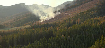 Waldbrand